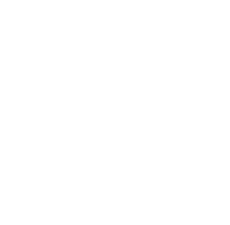 Github Icon